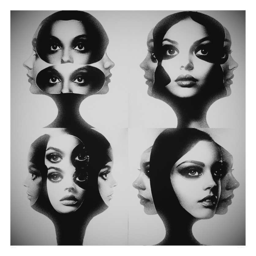 Main image Voir n'est pas comprendre