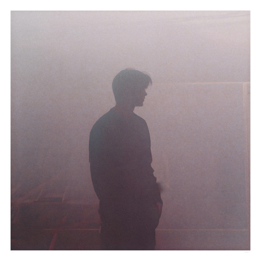 Main image Le desir immobile 19/30